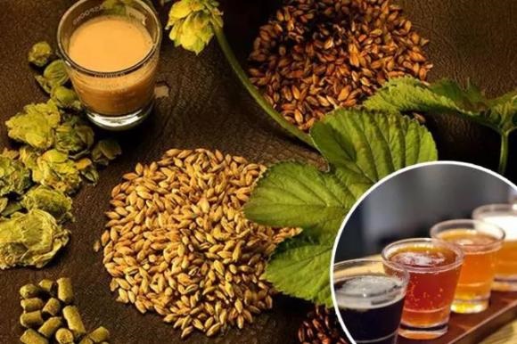 精釀啤酒--山東豪魯啤酒設備 精釀啤酒--山東豪魯啤酒設備